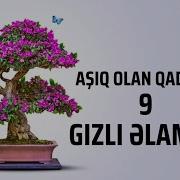 Qadınların Sevgi Etirafı