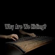 Why Are We Hiding