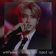 Wolfgang Stray Kids Speed Up