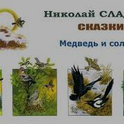 Николай Сладков Медведь И Солнце Сказки Сладкова Слушать
