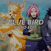 Blue Bird Edit Audio