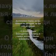 Суры Из Корана На Торговлю