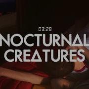 Nocturnal Creature