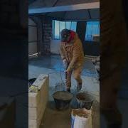 Ебанутся Туфли Гнутся