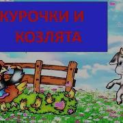 Курочки И Козлята Песенки Для Малышей