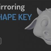 Tip Mirror Shape Keys In Blender