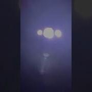 Лес Глушь Ночь Страшно