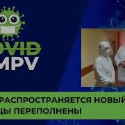 Новая Пандемия