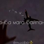 Мен Эмесмин Сенин Бул Омурдогу Бактын