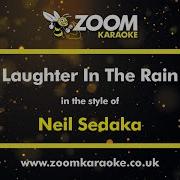 Laughter In The Rain Neil Sedaka Karaoke Version With Lyrics