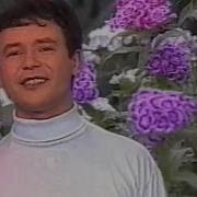 Инсаф Галимов Татарская Песня