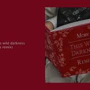 Moby This Wild Darkness Cya Remix