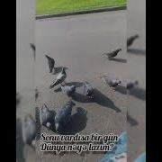 На Турецком Я Скучаю По Тебе