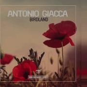 Antonio Giacca Birdland