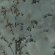 Белым Белым Снегом Чистым Белым Снегом