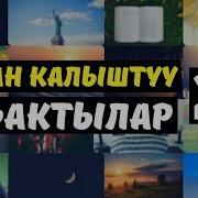 Кызыктуу Фактылар