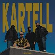 Fronerikartell Polic