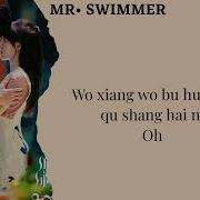 Mr Swimmer Ost Everyday Mike D Angelo