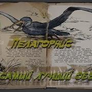 Пелагорнис И Рыбалка В Ark Survival Evolved