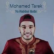 Нашид يا حبيب القلب يا خير البرايا