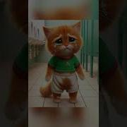 Help Yourself Meow Meow
