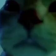 Caramelldansen Cat Extended