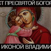 Акафист Пресвятой Богородице Пред Иконой Владимирская