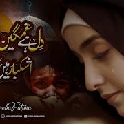 Syeda Areeba Fatima Dil Hay Ghamgeen Mera Heart Touching Dua Labaik Ya Aqsa Track Palestine