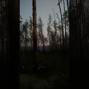Звук Кассетные Боеприпас