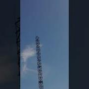 Ворона Кричит Аллах