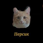 Рекламный Блок Заставки И Программа Передач Феникс Кино 31 12 2019 01