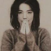 Bjork Come To Me