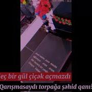 Aşiqdir Cənnət Sənə Mp3