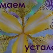 Лечебная Музыка Для Снятия Негатива Стресса Усталости Депрессии