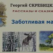 Заботливая Мамаша Георгий Скребицкий