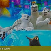 Норм И Несокрушимые