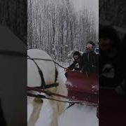 Катание На Санях