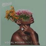 91Vocals Vocal Hooks Pink Label Vocal Sample Pack