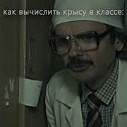 Лапенко Как Найти Крысу