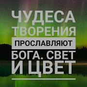 Чудеса Творения Прославляют Бога Свет И Цвет