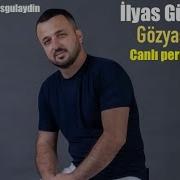 Ilyas Gulaydin