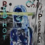 Red Hot Chili Peppers Bicycle Song Itunes Store Bonus Track