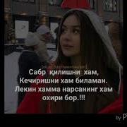 Жанат Екан Кучогларинг Чикиб Кетолмадим
