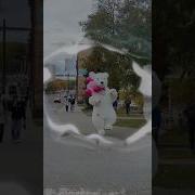 С Днём Рождения Брат N M S