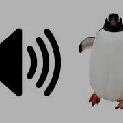 Penguin Sound Effect