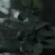 Как Я Здесь Оказался