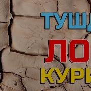 Туш Табири Тушда Лой Куриш