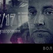 Волчонок 25 17