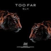 Sin Feat Mary S K Too Far Original Mix