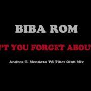 Biba Rom Dont You Forget About Me
